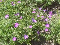 dsc04685.jpg