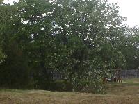 dsc04724.jpg