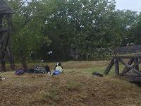 dsc04730.jpg