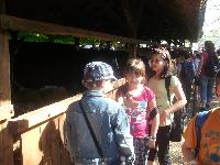 dscf1133.jpg