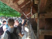 dscf1144.jpg