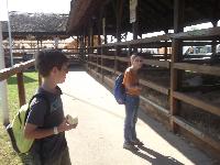 dscf1148.jpg
