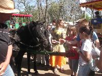 dscf1151.jpg
