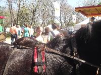 dscf1152.jpg