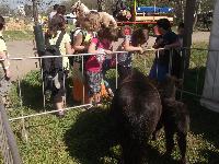dscf1158.jpg