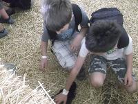 dscf1197.jpg