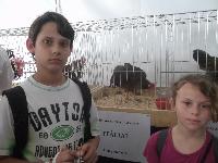 dscf1206.jpg