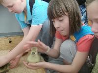 dscf1211.jpg
