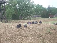 dscf1234.jpg