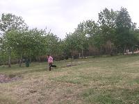 dscf1309.jpg