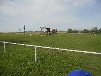dscn1046.jpg