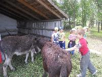 dscn1065.jpg