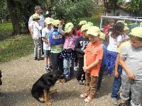dscn1067.jpg