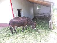dscn1068.jpg
