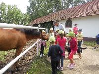 dscn1070.jpg