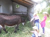 dscn1071.jpg