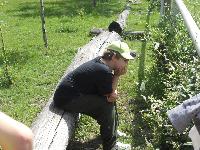 dscn1079.jpg