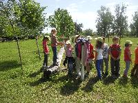 dscn1097.jpg
