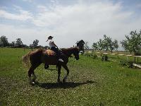 dscn1099.jpg