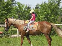 dscn1108.jpg