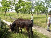 dscn1112.jpg