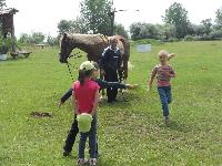 dscn1113.jpg