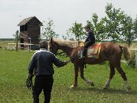 dscn1114.jpg