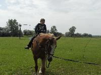 dscn1115.jpg