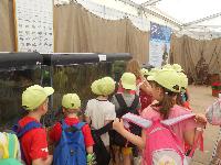 dscn0715.jpg
