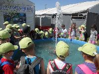dscn0718.jpg