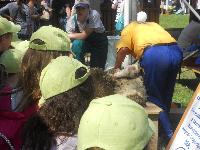 dscn0722.jpg