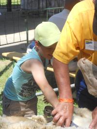 dscn0728.jpg