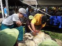 dscn0731.jpg
