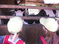 dscn0738.jpg