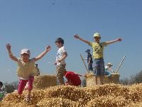 dscn0745.jpg