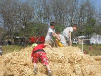 dscn0746.jpg