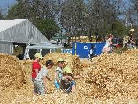 dscn0747.jpg