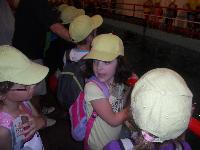 dscn0804.jpg