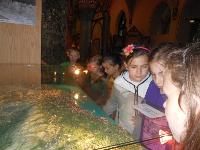 dscn6239.jpg