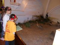 dscn6251.jpg