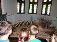 dscn6268.jpg