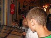 dscn6272.jpg