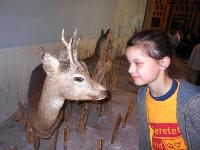 dscn6276.jpg