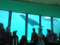 dscn6291.jpg