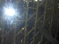 dscn6294.jpg