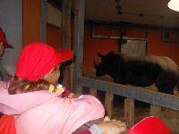 dscn6301.jpg