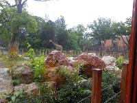 dscn6303.jpg