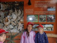 dscn6307.jpg