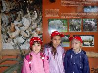 dscn6308.jpg