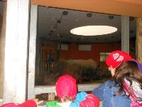 dscn6309.jpg